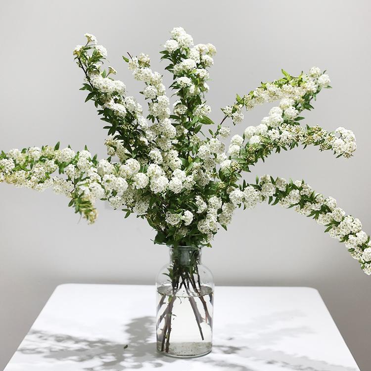 昆明市呈贡区宝盈蔬菜经营部的小店