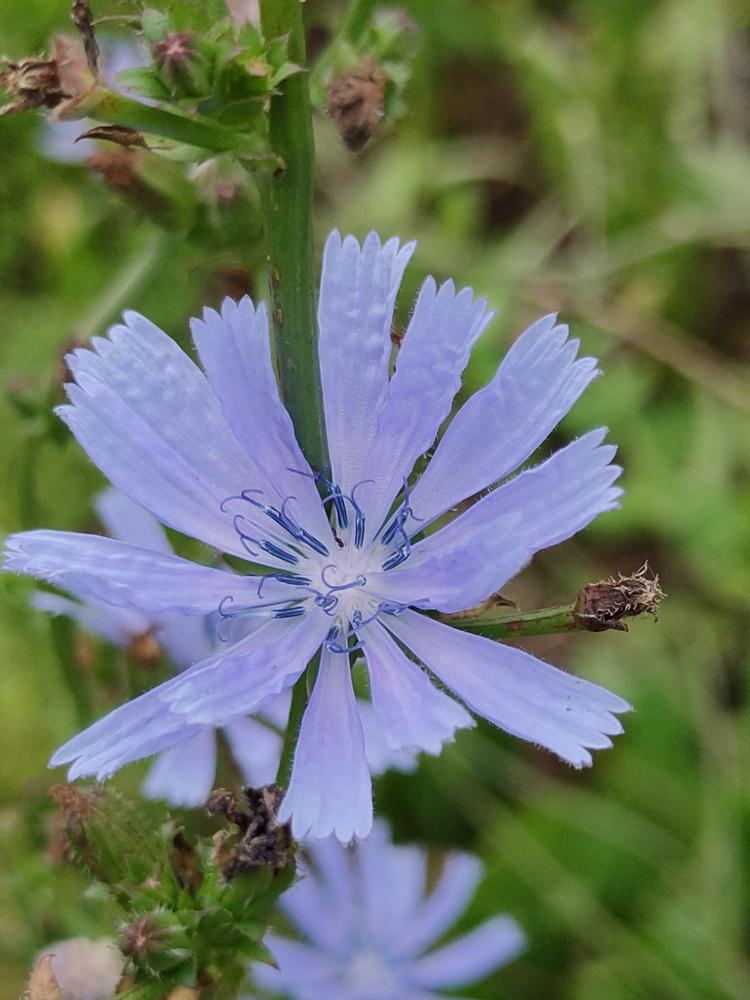 蓬安县利溪镇强红家庭农场的小店