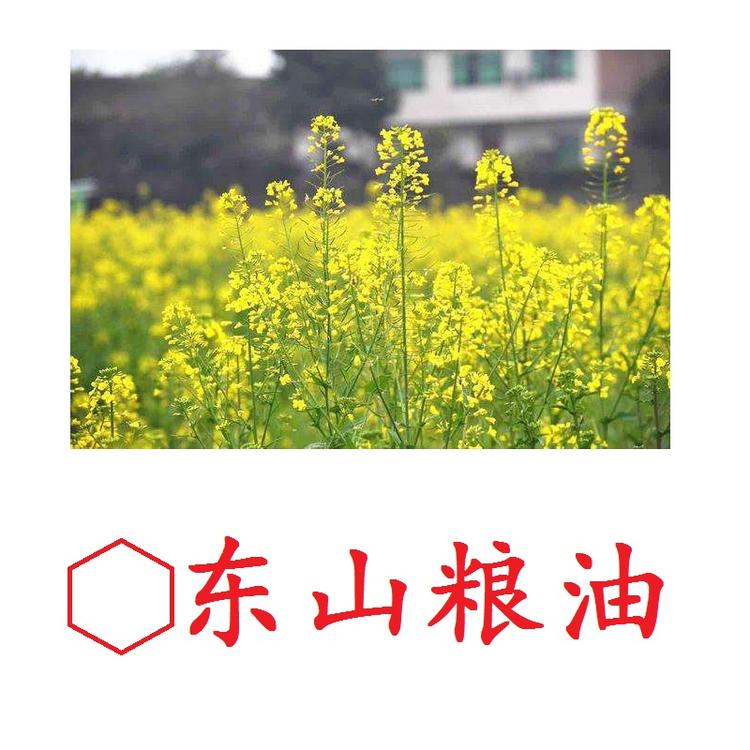 往哥优选