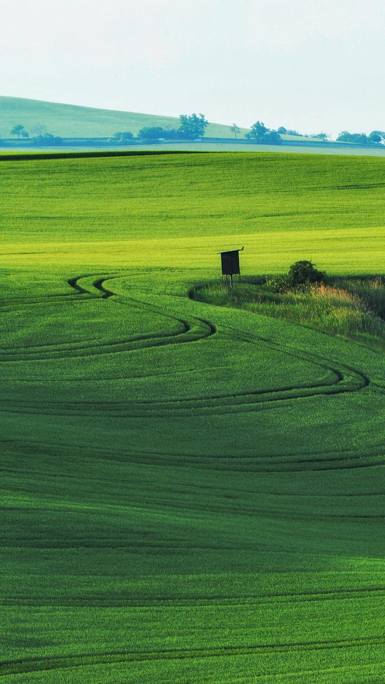 冠县永双商贸有限公司的小店