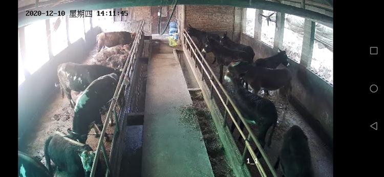 湘潭牛管家养殖有限公司的小店