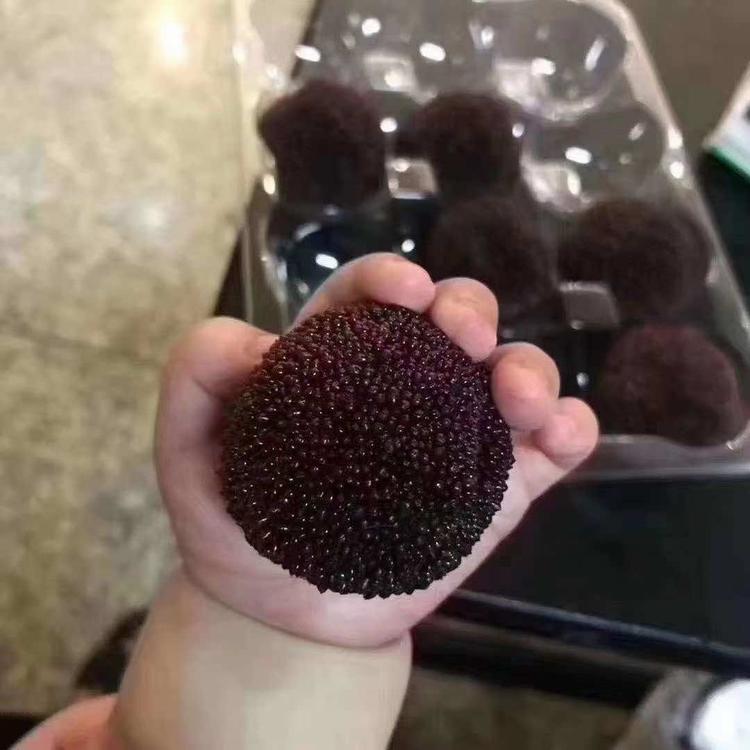 仙居县馨隆种养殖专业合作社的小店