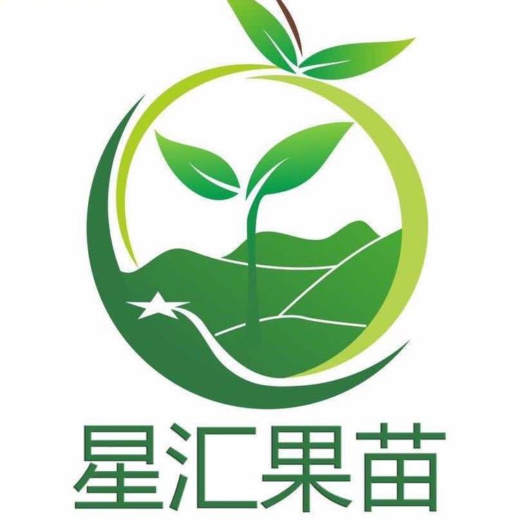 灵山县武利镇星汇苗木场的小店