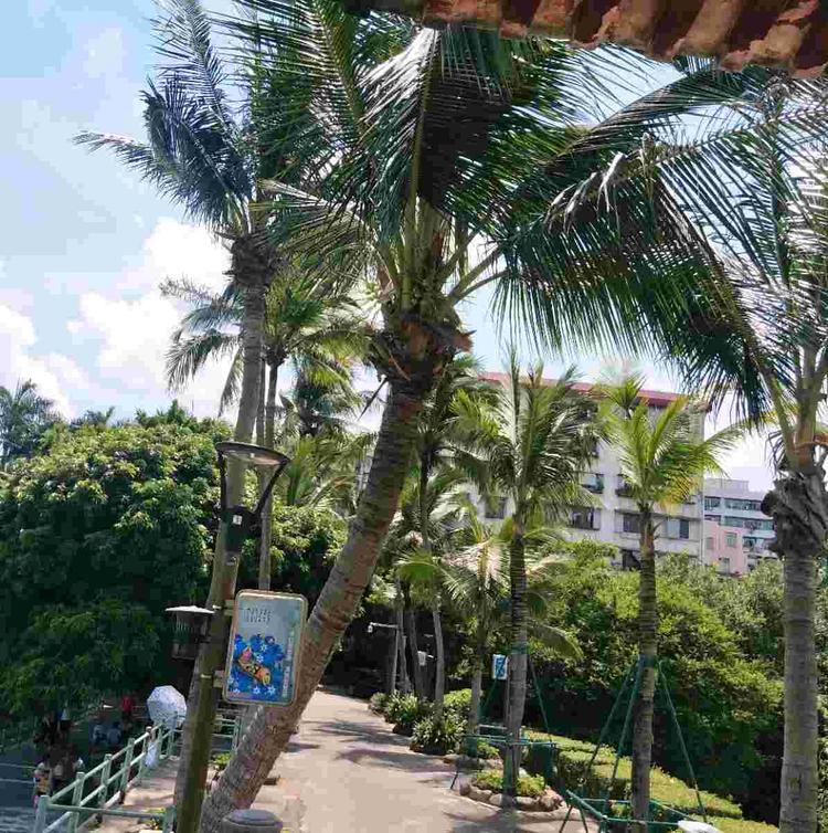 东明县苏宁通讯器材有限公司的小店