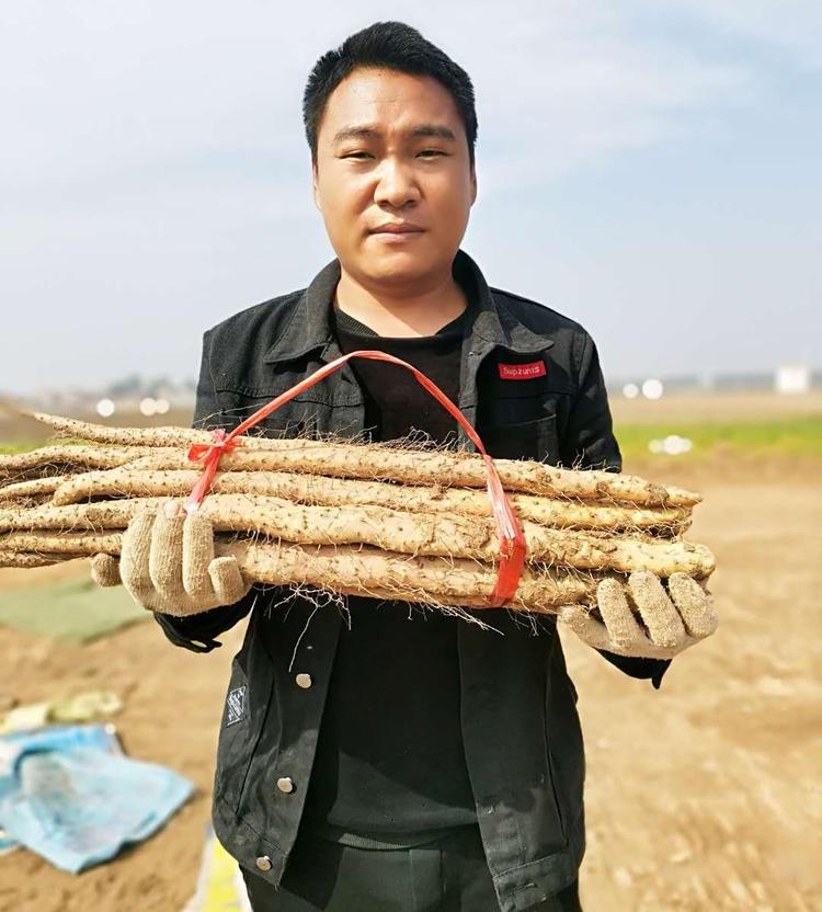温县美瑶山药经营部的小店