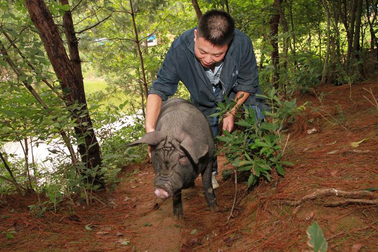 安徽省康源农业发展有限公司的小店