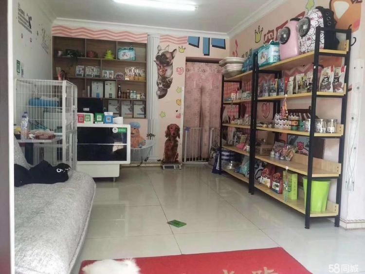 沙河口区四只宠物店的小店