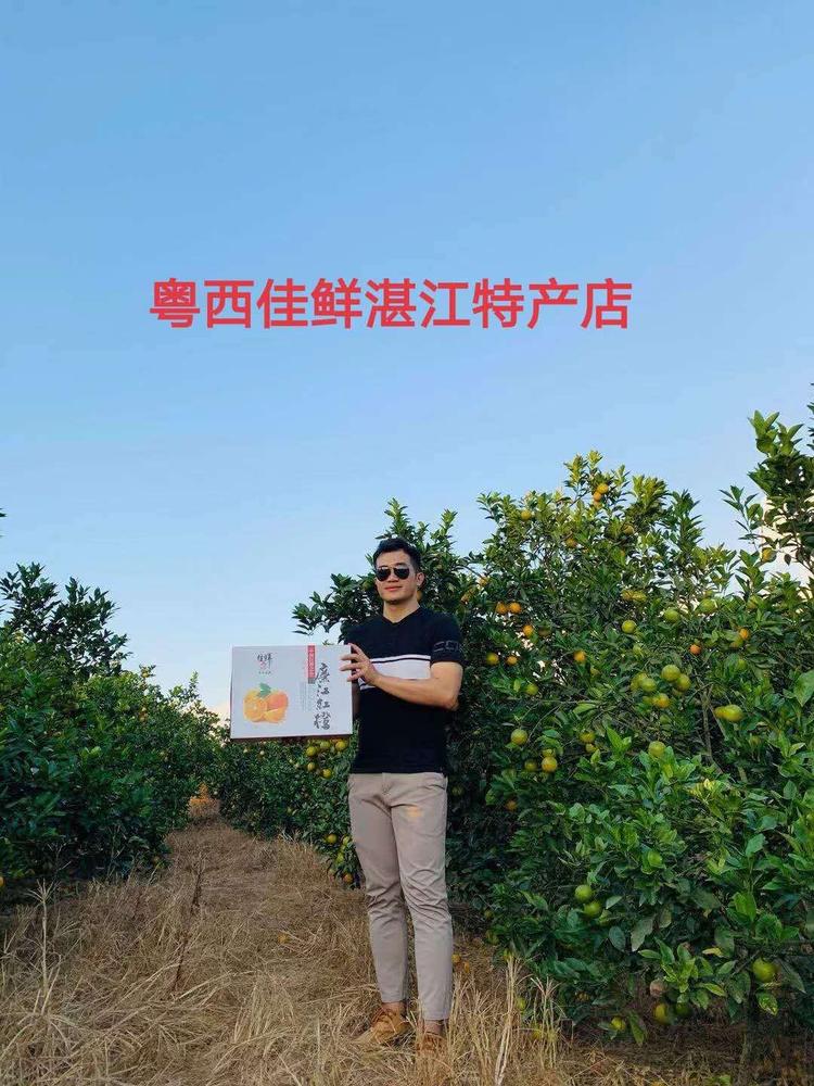 粤西佳鲜湛江特产店