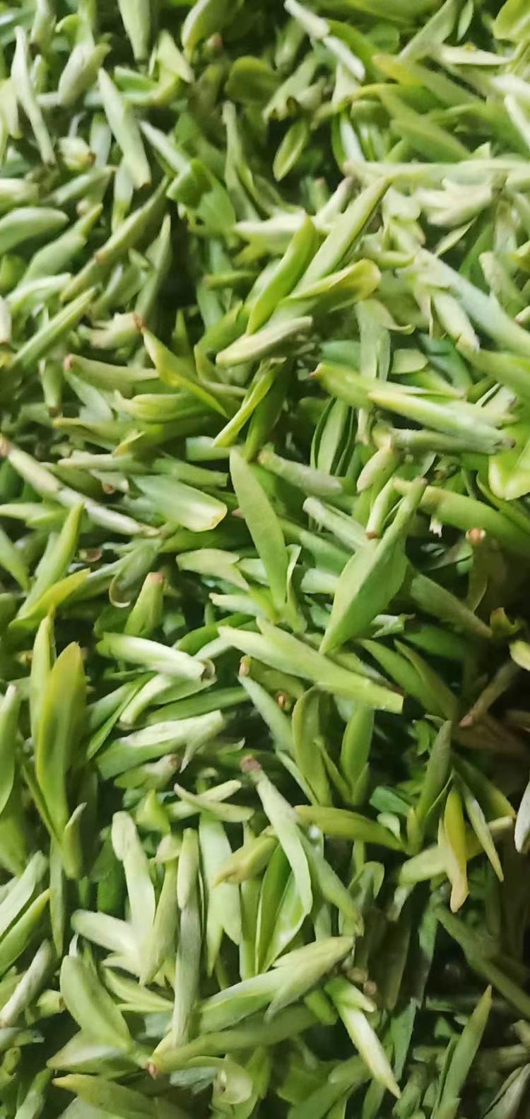 武义艺采茶业有限公司的小店