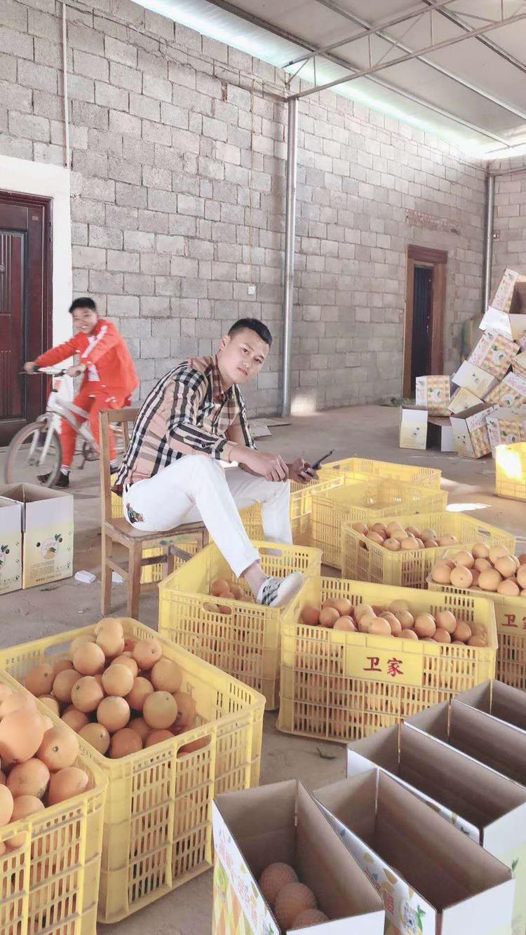 宜章县舒霞山脐橙种植专业合作社的小店