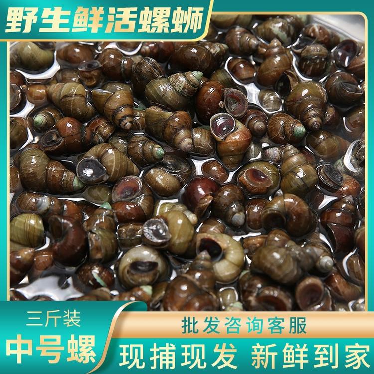 仙桃市滩湖土特产店的小店