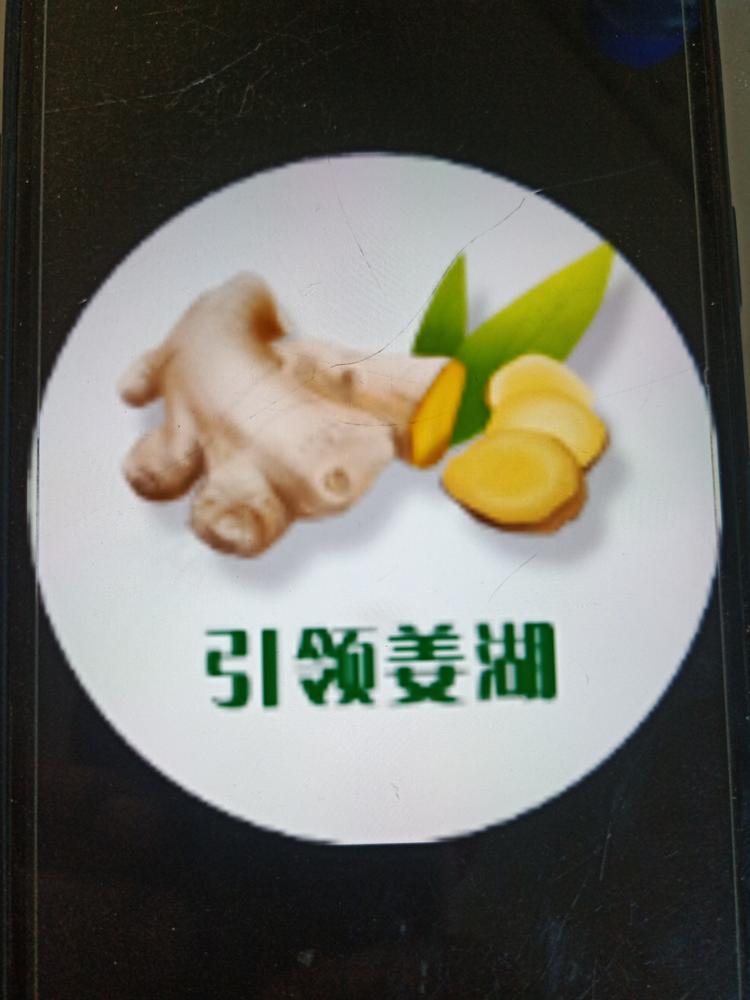 山东引领姜湖农业服务有限公司的小店