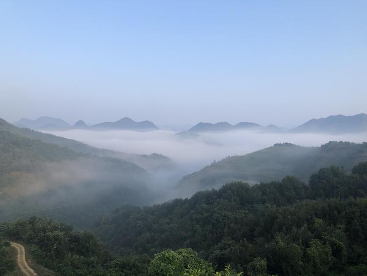 韩城蔚蓝园林有限公司的小店