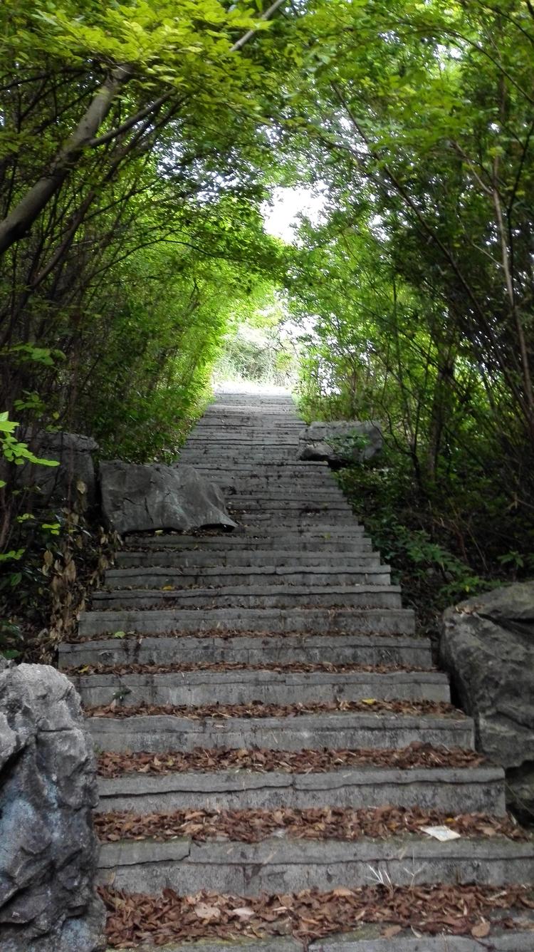 象山区旺居门窗经营部的小店
