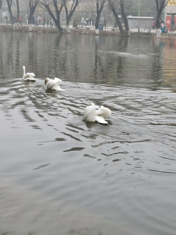 长安林哥日用品店的小店