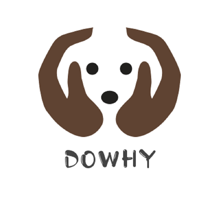 Dowhy生活