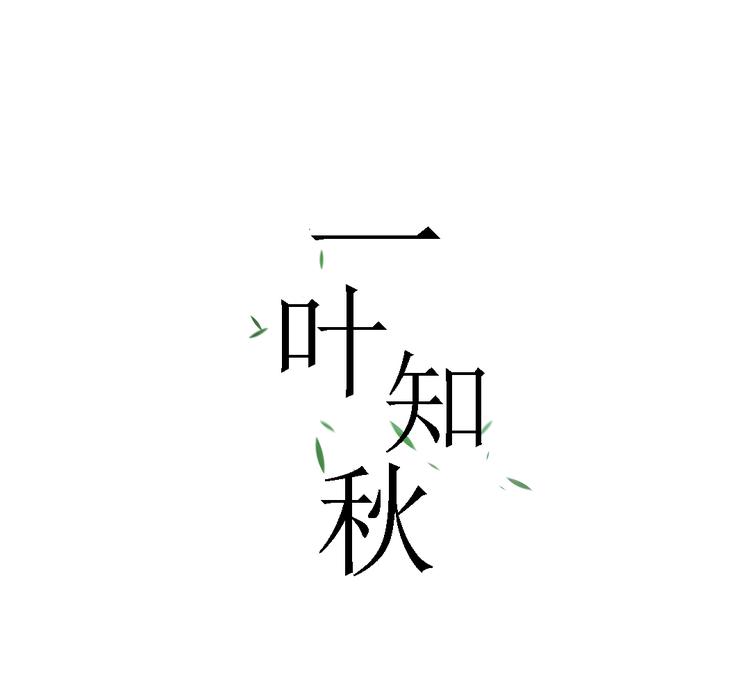 福鼎市一叶知秋茶叶店的小店