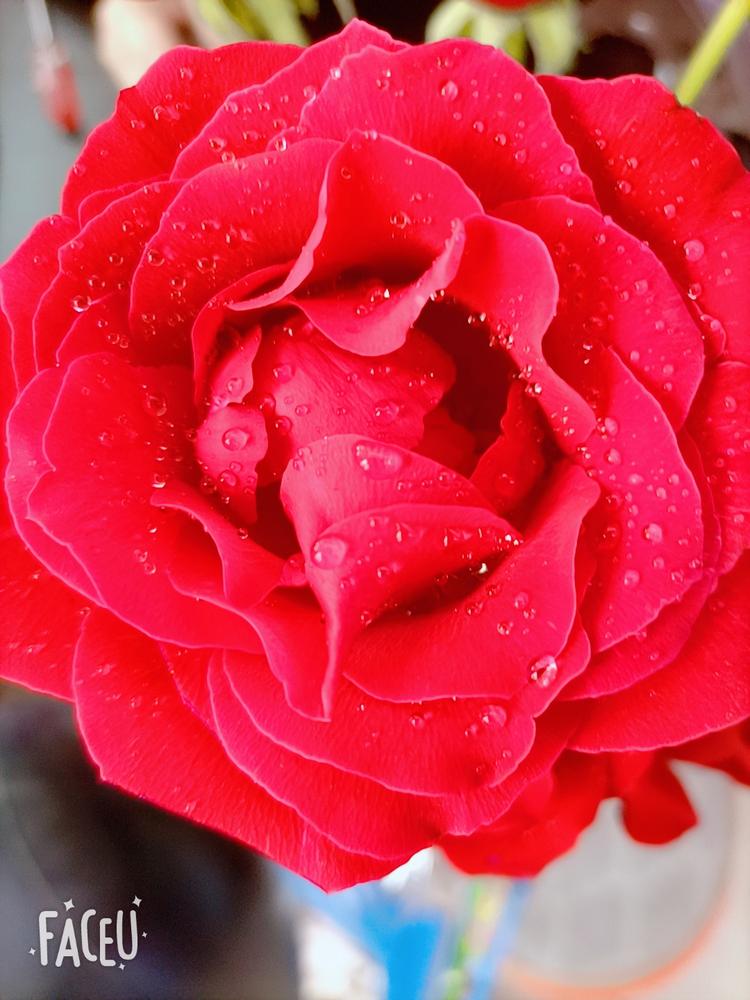 滑县白道口镇民寨村电子商务服务中心的小店