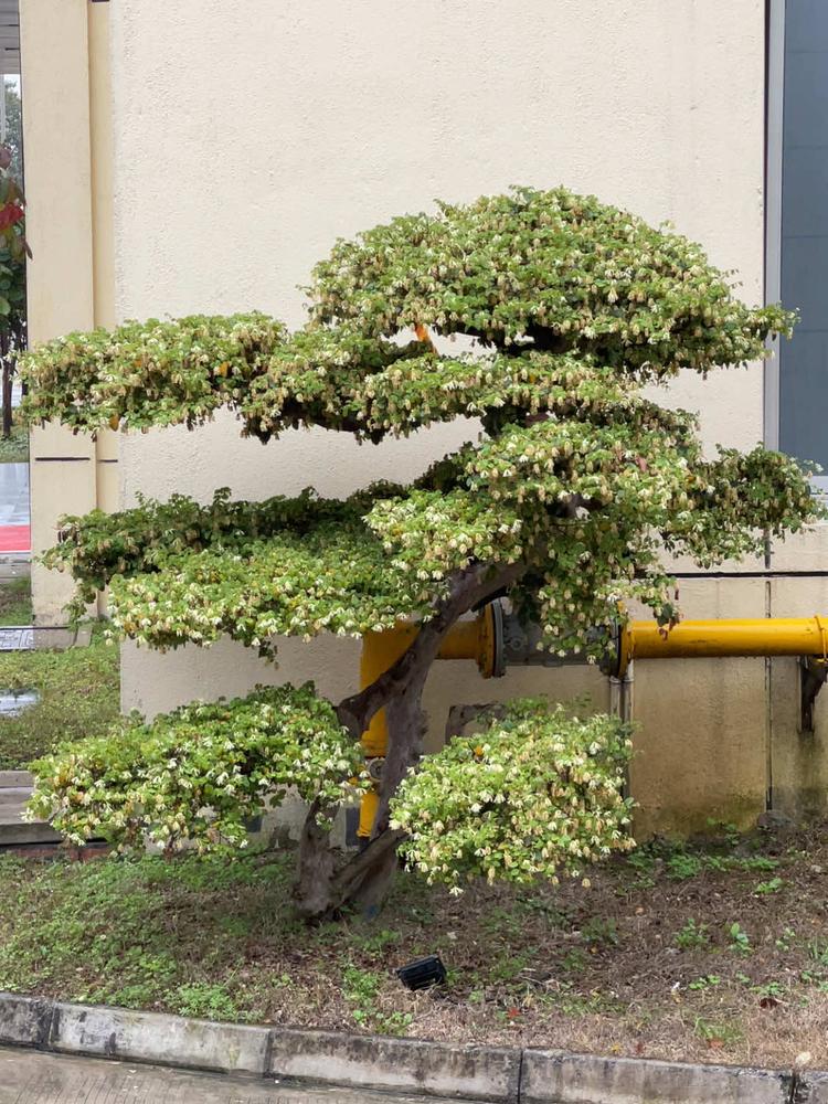 苏州飞视达系统集成有限公司的小店