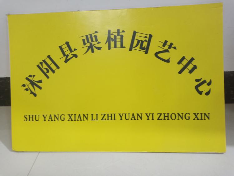 沭阳县栗植园艺中心的小店