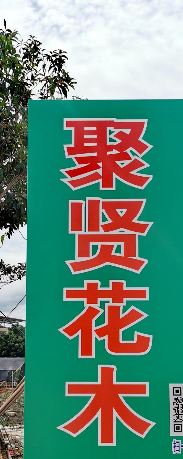 梅州市梅江区聚贤花木场的小店