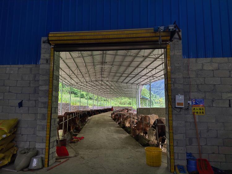 河池市宜州区彪辉种养专业合作社的小店