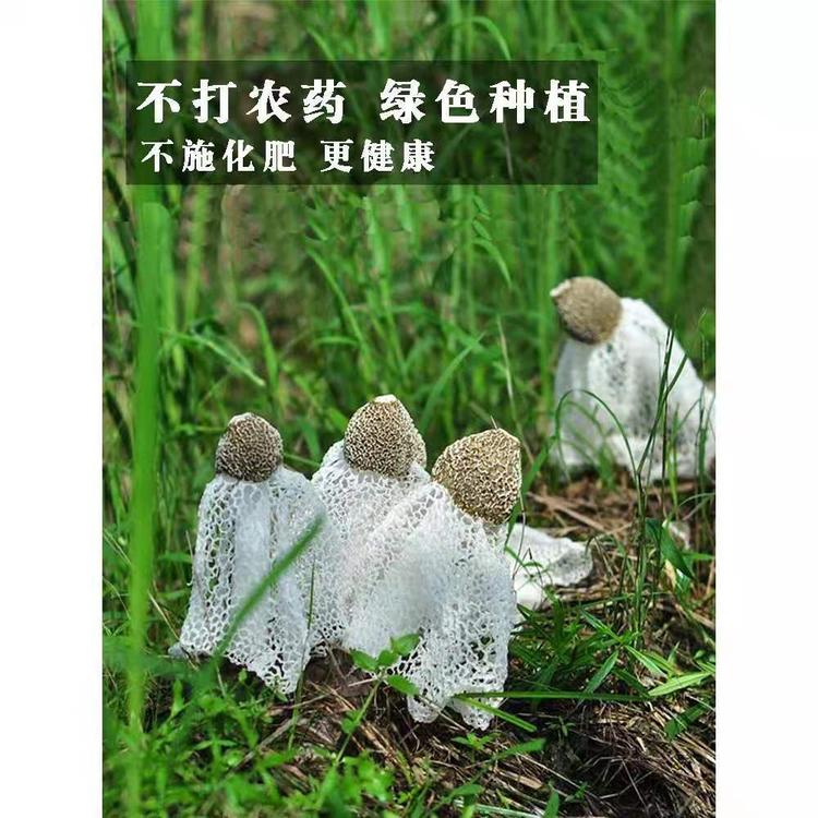 政和县李招锋农产品店的小店