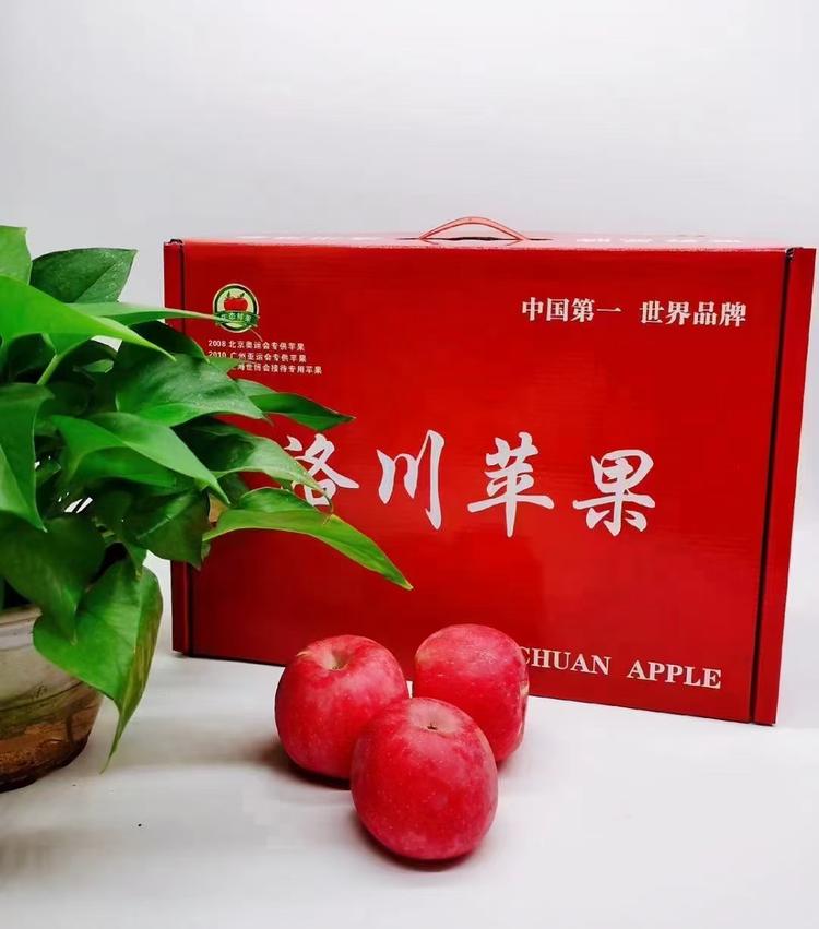 洛川阿成的店铺
