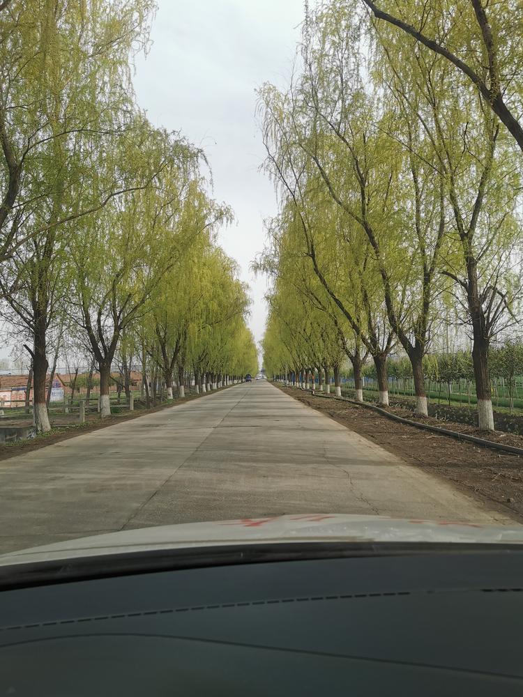 义乌市萌臣网络科技工作室的小店