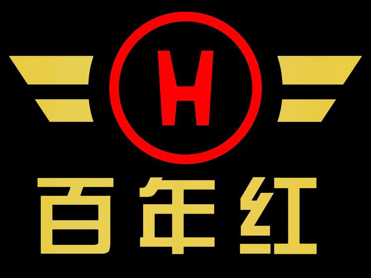 百年红指纹锁