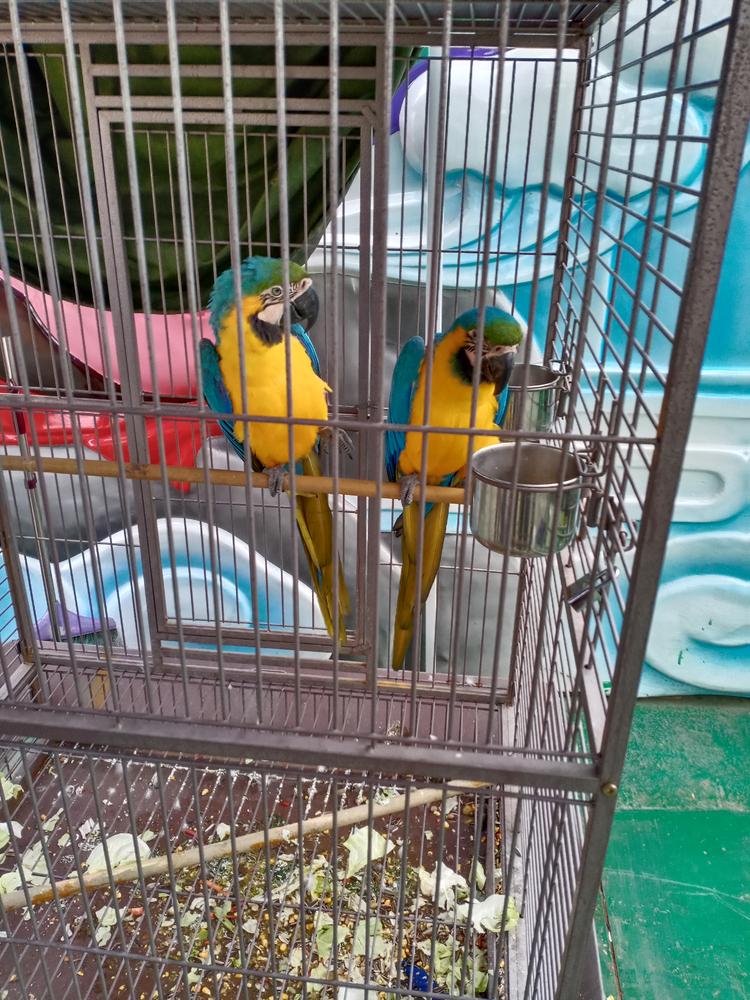 渭南市君信网络科技有限公司的小店