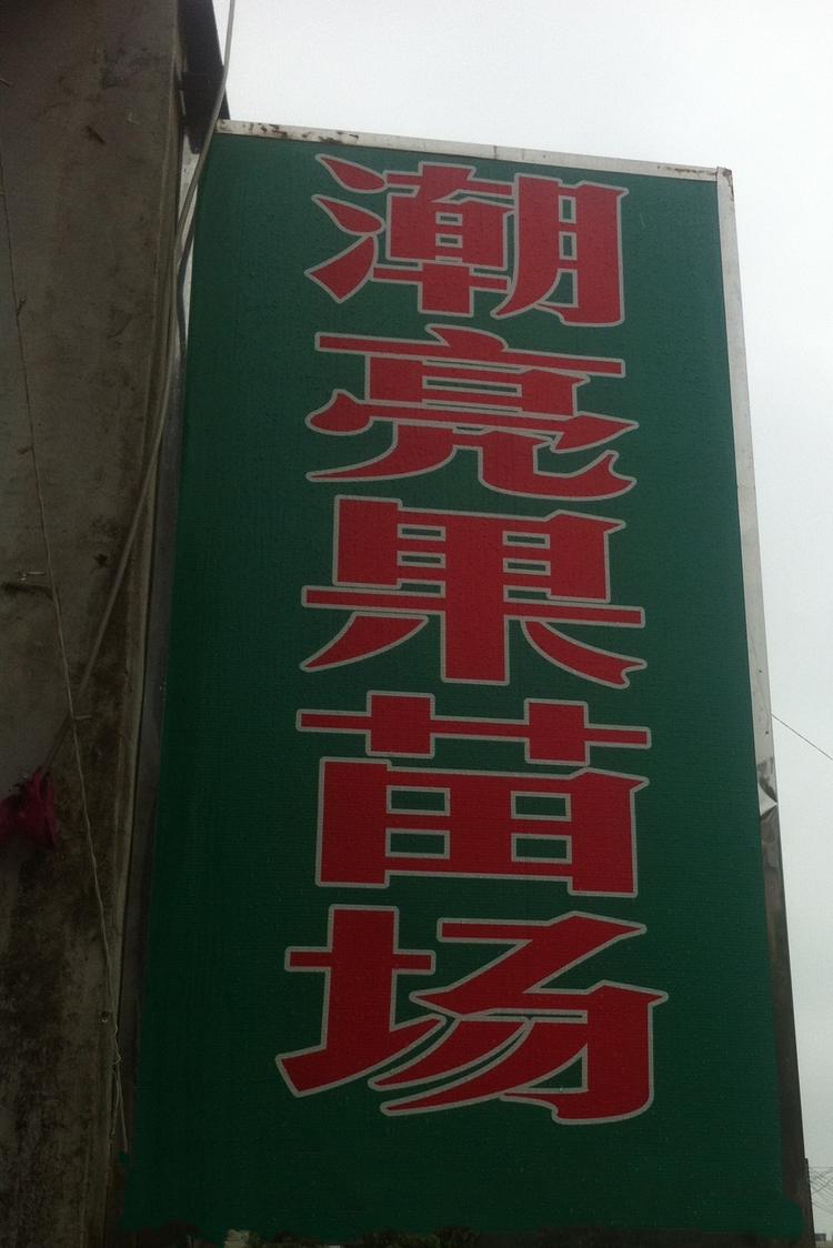 潮亮果苗场