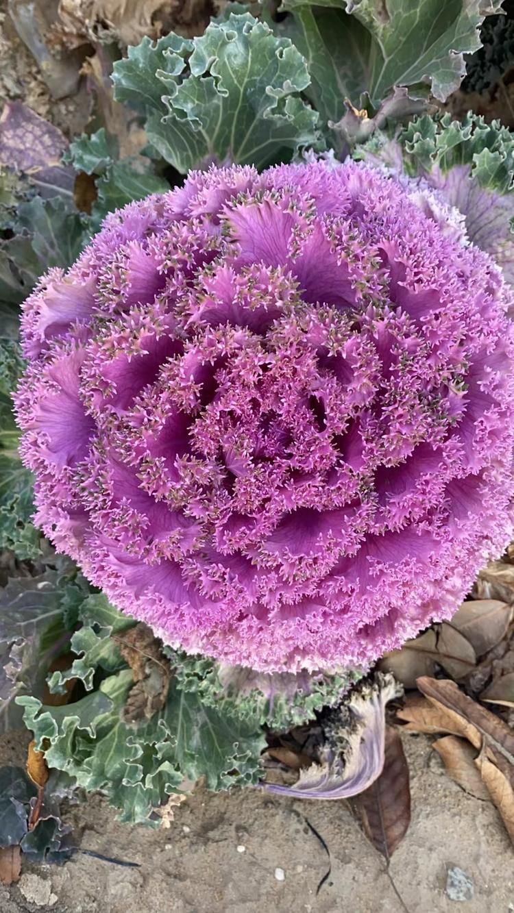 郑州航空港区龙港办事处惠万家购物超市的小店