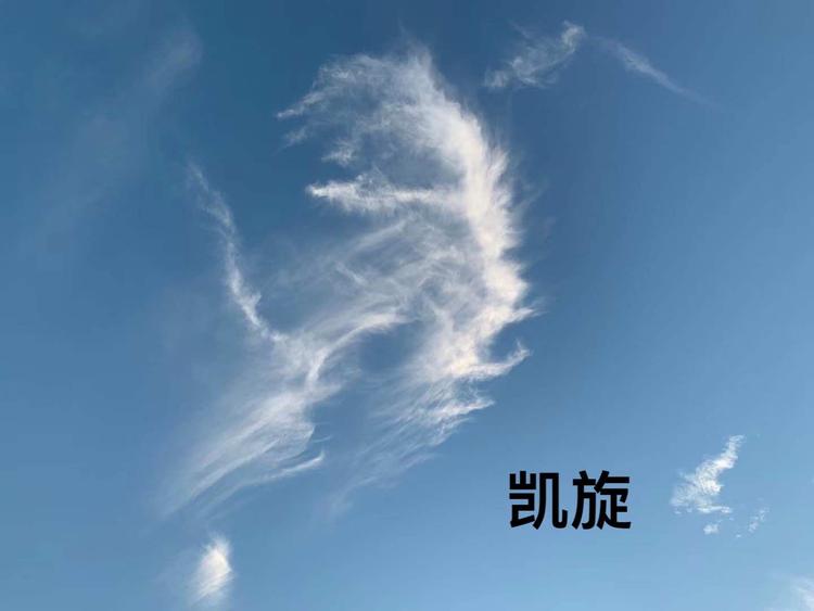 恩施酷为商贸有限公司的小店