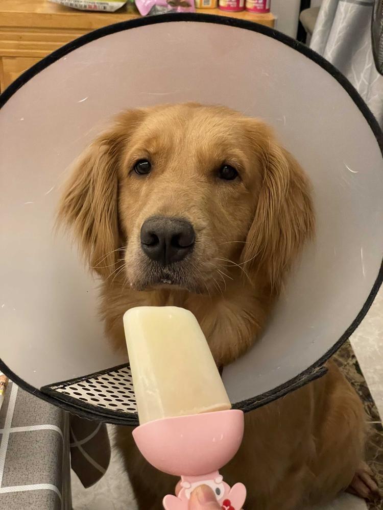 广州品品餐饮管理有限公司的小店