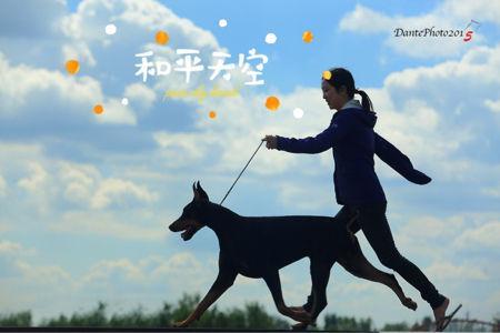 和平天空的小店