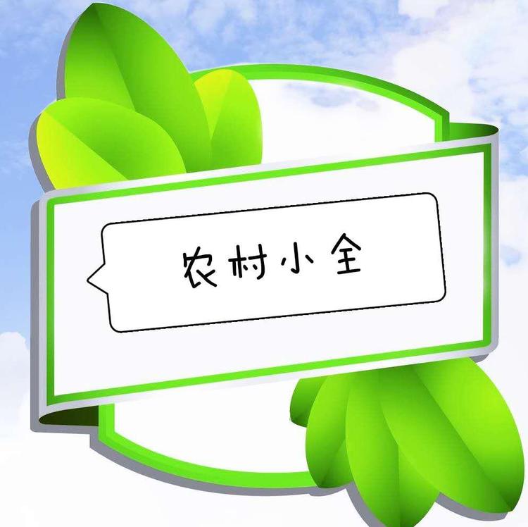 农村小全