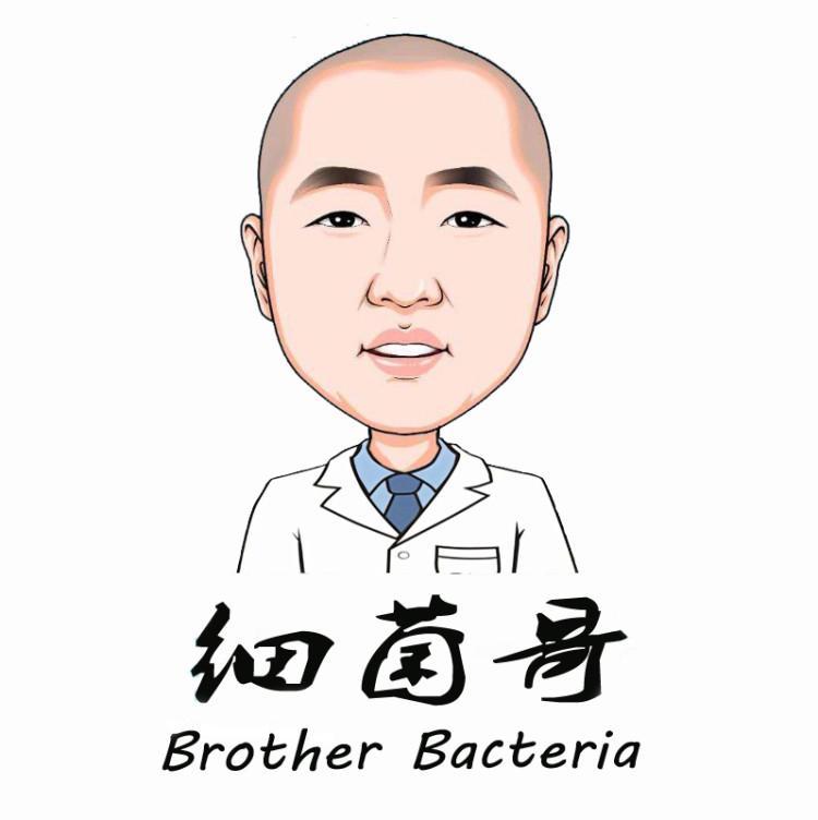 细菌哥工作室