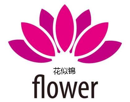 昆明市呈贡区斗南花似锦花卉