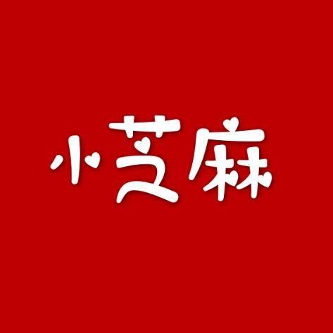 小芝麻童装商贸