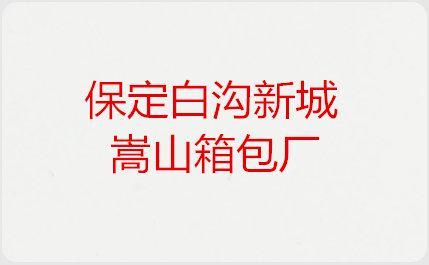 保定白沟新城嵩山箱包厂