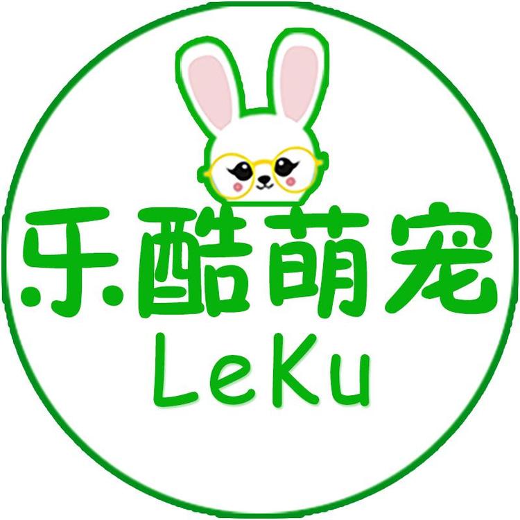 乐酷萌宠荷兰猪