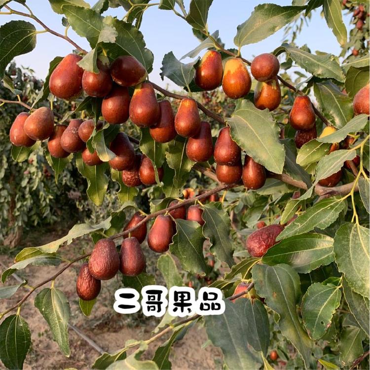 三姐妹特产店