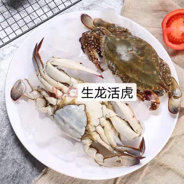金海龙的小店