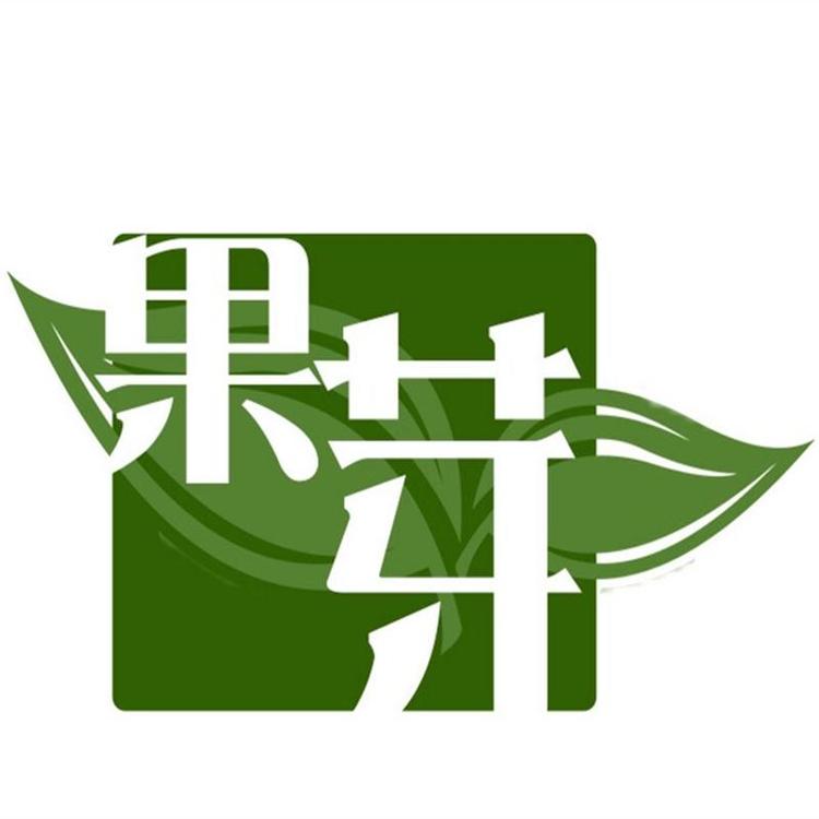 安吉茶菇娘