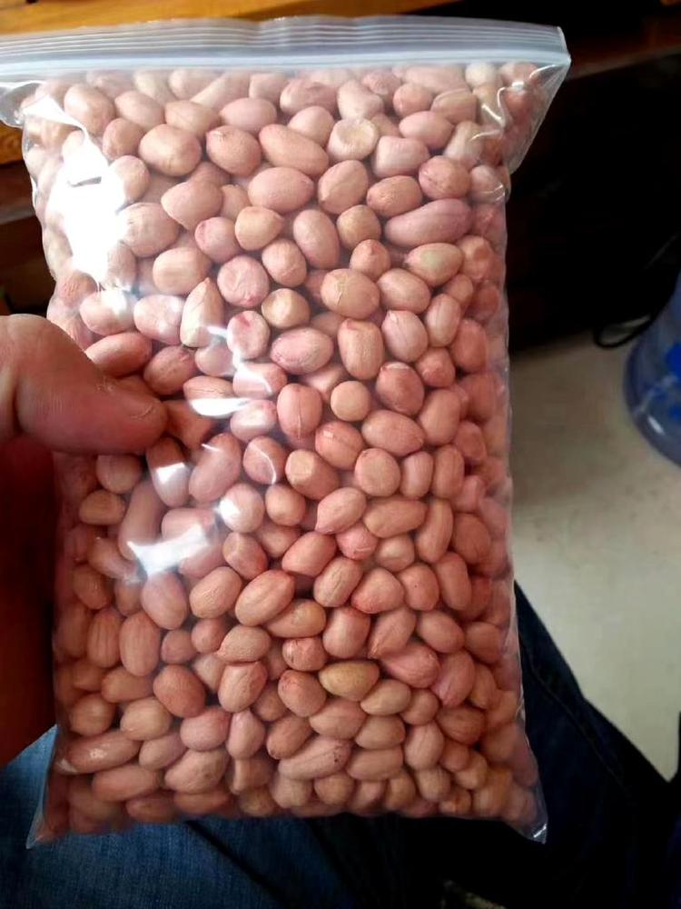 莒县金寨花生筛选厂的小店