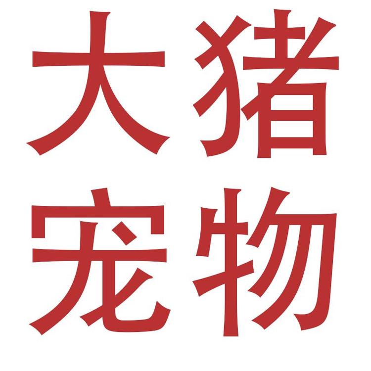 大猪宠物店