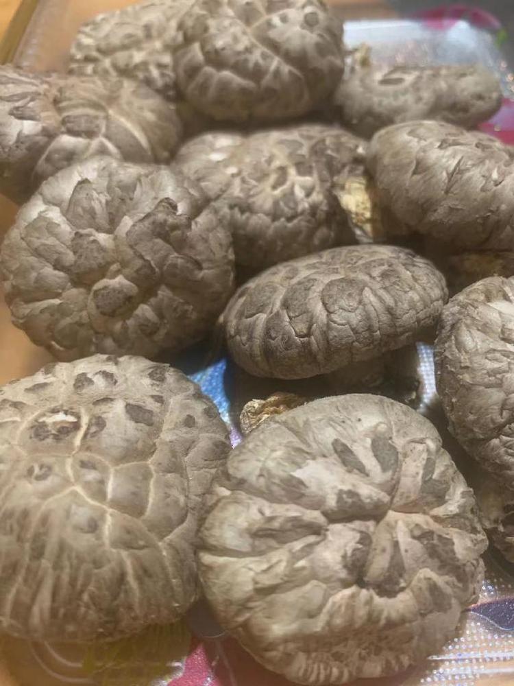 庆元云竹轩商贸特产