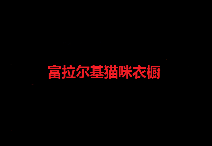 富拉尔基猫咪衣橱