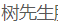 树先生服装商行